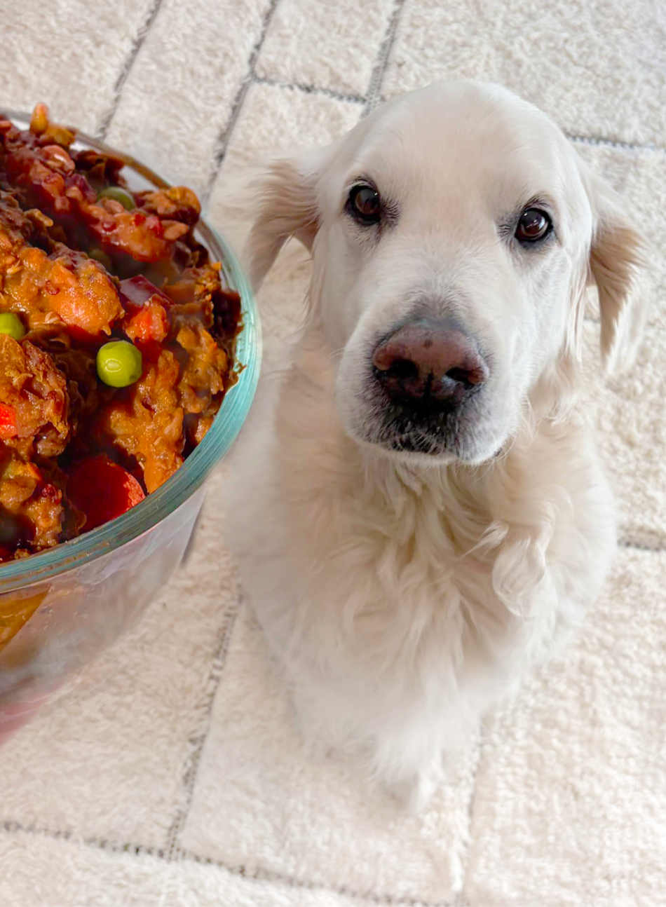 Leo, the dog behind Wonder Bowl